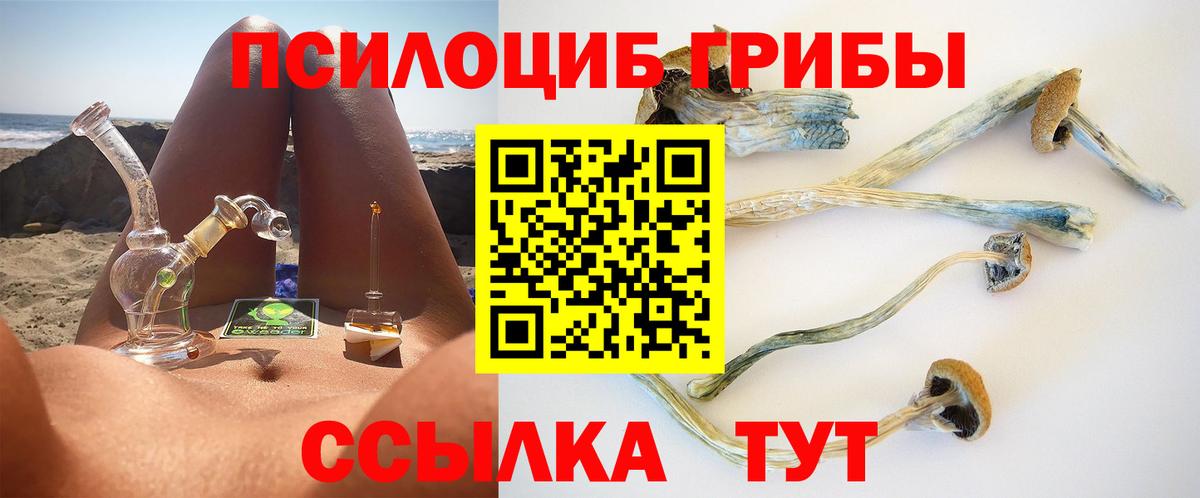 Галлюциногенные грибы Magic Shrooms Саратов