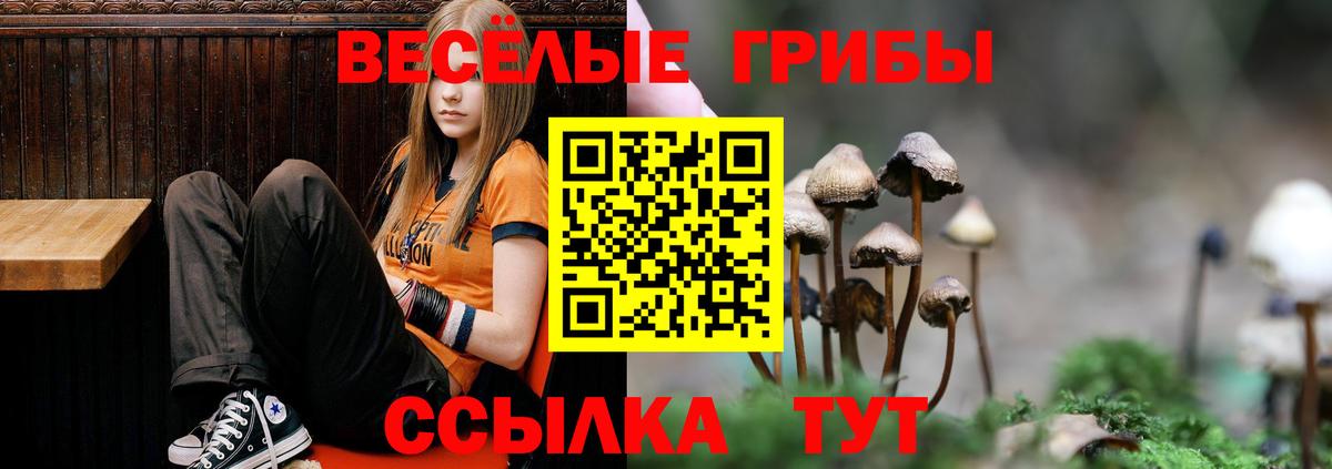 Псилоцибиновые грибы ЛСД  Псилоцибиновые грибы мухоморы  Вход с VPN  купить наркотики сайты  Саратов 